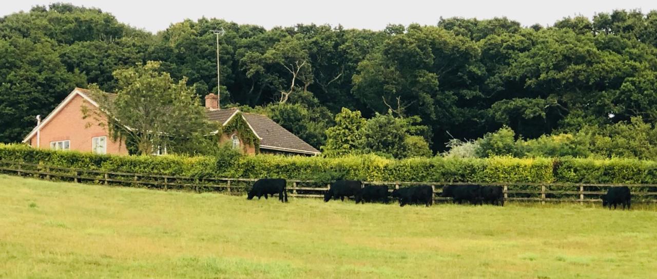 Yellowham Farm, Dorchester Higher Bockhampton Exterior photo